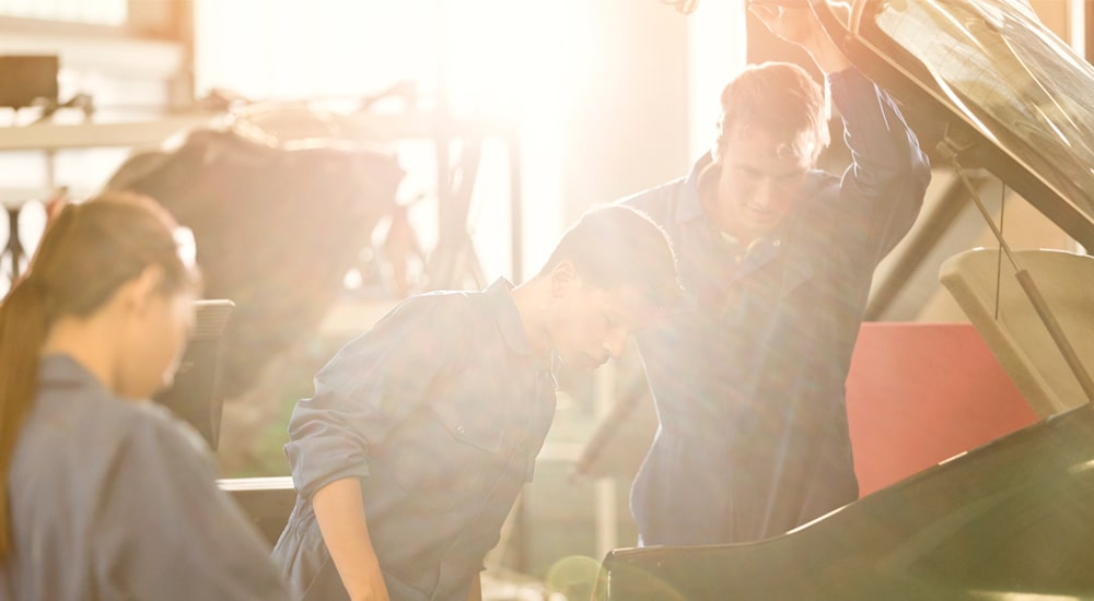 Advantage Panel & Paint